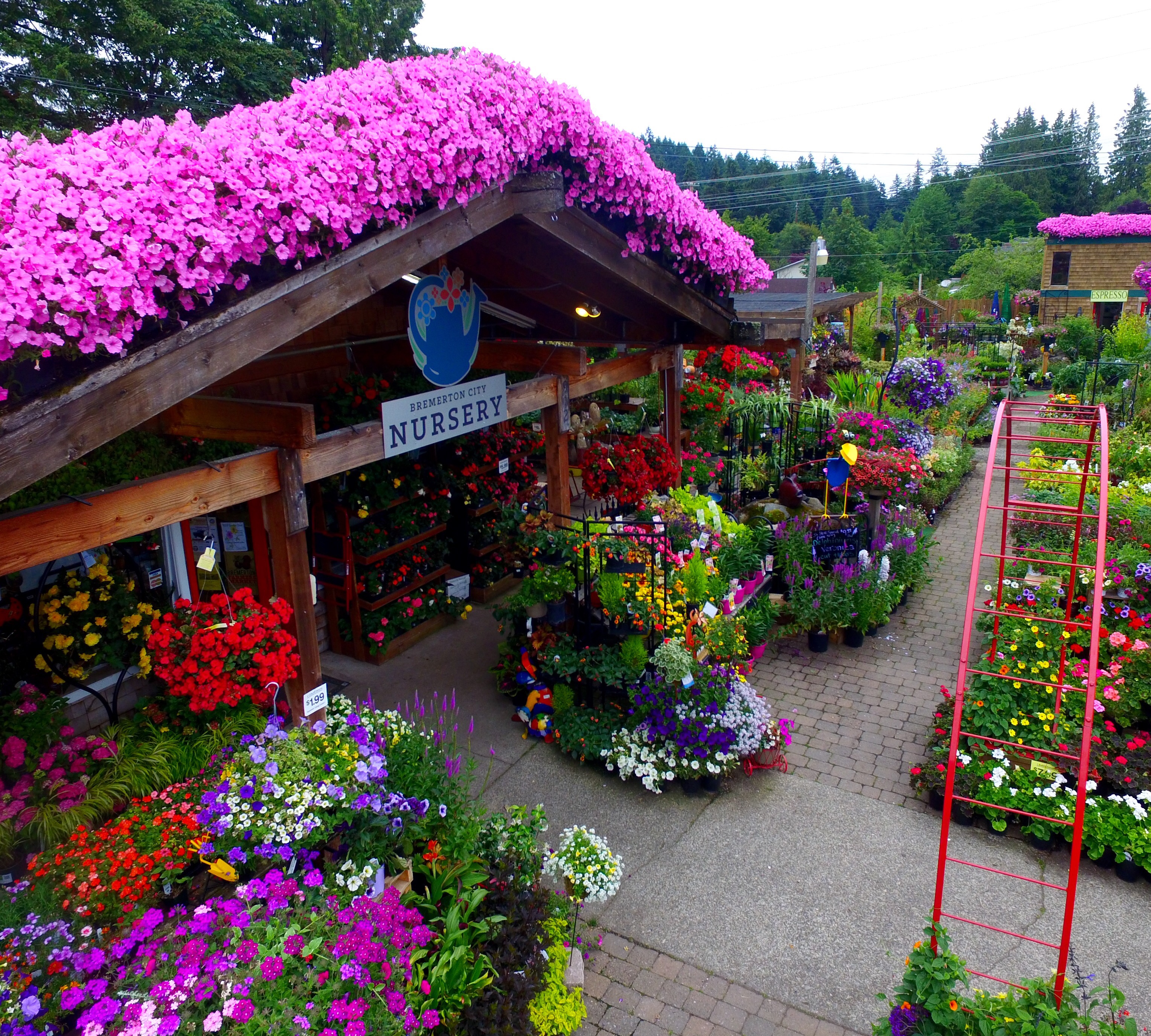 SPRING FLING 2017 Bremerton City Nursery